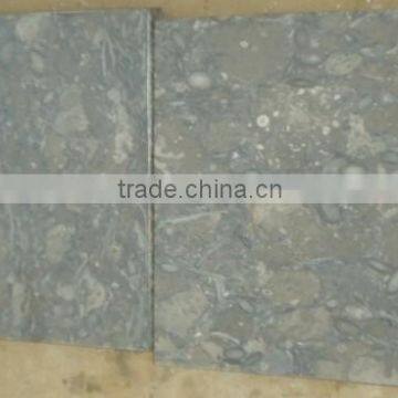 Fossil Brown Tiles & Slabs for China