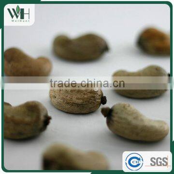 2016 Crop Kidney Shaped Fresh Dried Nuts photo-5