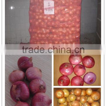 Fresh onion packing in mesh bag for onion importer from Dubai