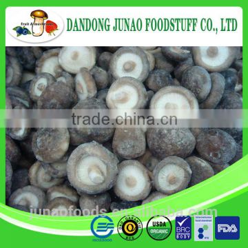 Chinese new corp Frozen cultivated shiitake mushrooms 1kg