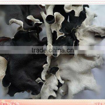 2013 Dried white back black fungus whole