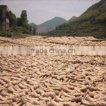 Fresh Dry Bamboo Shoot