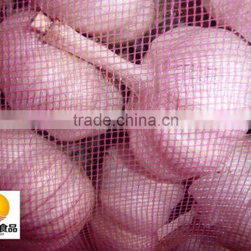 Hot sale dried white garlic supplier