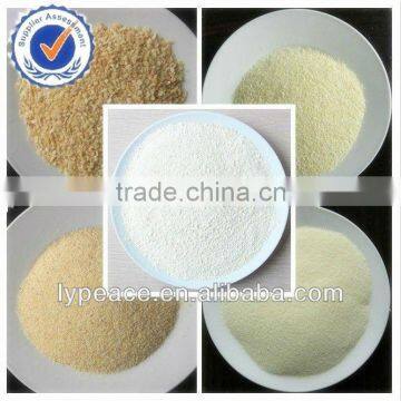 bulk garlic powder market