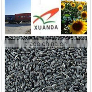 black wholesale sunflower seeds for oil