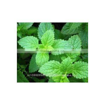 Peppermint Oil