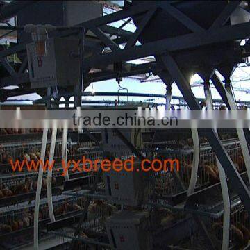 Used Automatic feeding machine