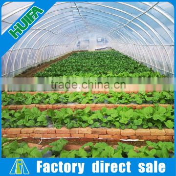 Single span agriculture tunnel greenhouse