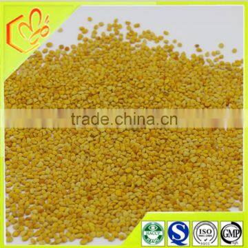 wholesale natural bee pollen granules/powder bulk from China