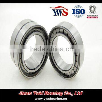 Full Complement Single Row Cylindrical Roller Bearing SL 183008 photo-2