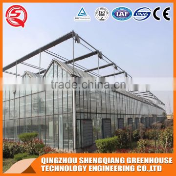 Multi-span steel frame glass greenhouse control system for sale