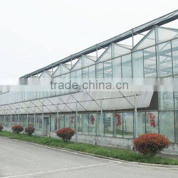 Large Used Commercial Glass Agricultural Greenhouses photo-3