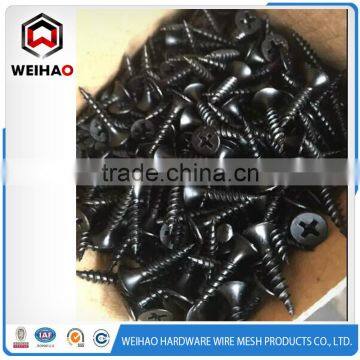 Indonesia Salable Sharp Point Drywall Screw photo-3