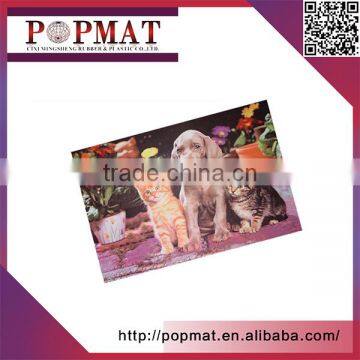 2017 High Quality Lovely Durable Home Bedroom Washable Floor Mat photo-6