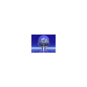 Offer US / Canada Business Development Services (United States)