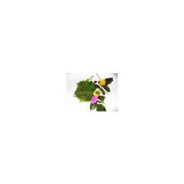 Supply Frozen Seaweed Salad 1kg