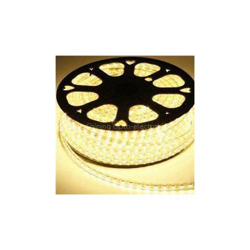 Dimond Shinning High Voltage Waterproof LED Smd 3538 230v Narrow Flashing Rgb Led Strip