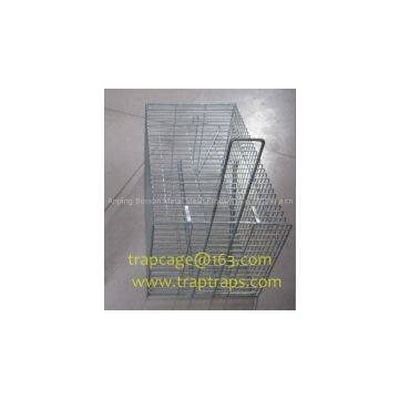 Metal Rat Cage Trap Factory With Single Door photo-2