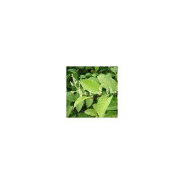 Want Resveratrol,please contact Linda
