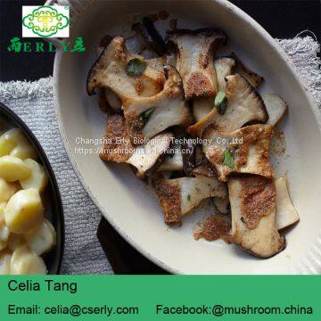 DRIED KING OYSTER MUSHROOM photo-5