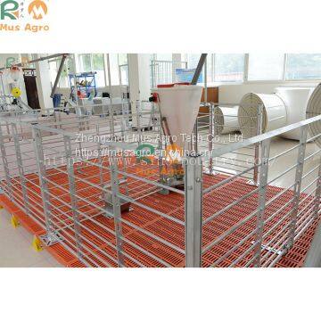 2.75 Thickness Pipe Farrowing Crate Top Quality Pig Weaning Fatten Crate Weaner Piglets Nursery Crate photo-4