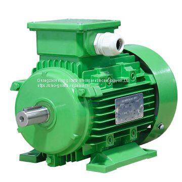 Ie1 Ms Series Three Phase Asynchronous Motor 11kw 132m3-4