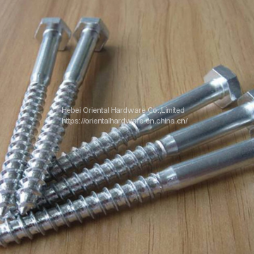 DIN 571 Wood Screw China Supplier