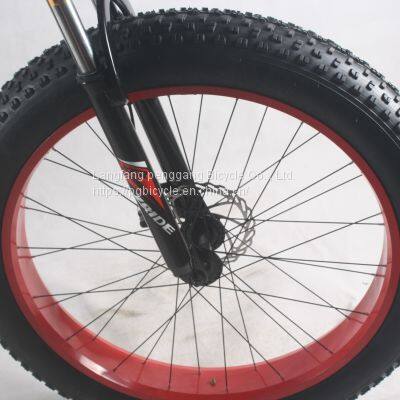 Fat Tire Electric Bicycle 26inch Steel 21 Speed E-bike photo-5