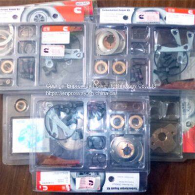 Cummins Diesel Engine Parts Cummins Overhaul Kit for NT855 Engines - 3800659 photo-3