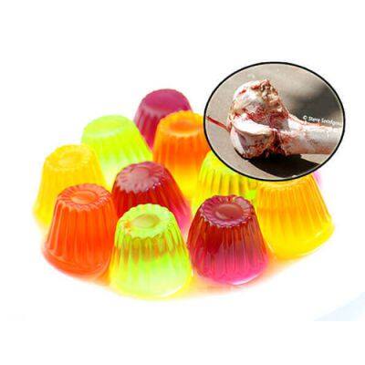 Conjunto completo de línea de procesamiento de planta de producción de gelatina comestible