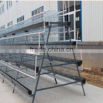 welded wire mesh Mink breeding cage metal quail cage for sale