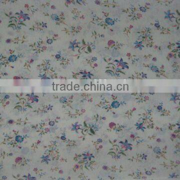 Polyester Fabric Dye for Lady's Garment Fabrics