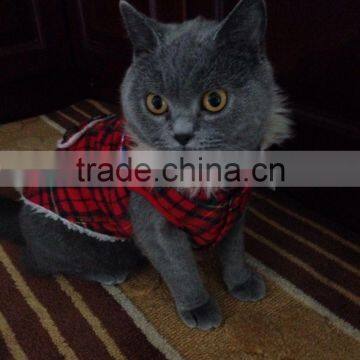 Pet Clothes
