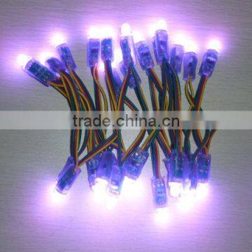 Express Mini Black Led String photo-2