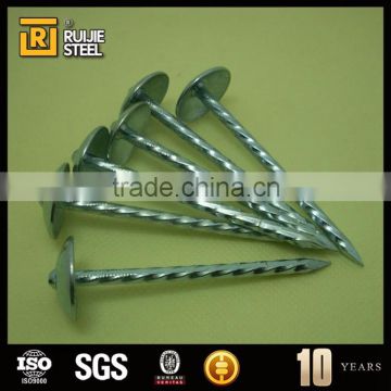 zinc coated nail/large head nail with washer/Galvanized umbrella head roofing Nails