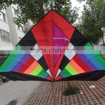 delta shape kite