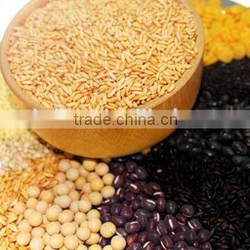 New Type Mini Flour Mill Machine,Small Scale Flour Mill Machinery Made in China photo-5