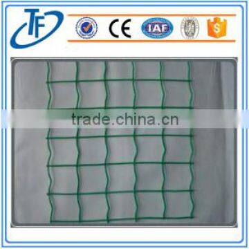 Euro Fence/ PVC Coated Holland Wire Mesh photo-3