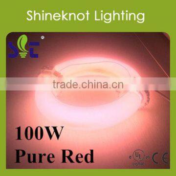 100w Hydroponic Growing Plant Induction Grow Lamp