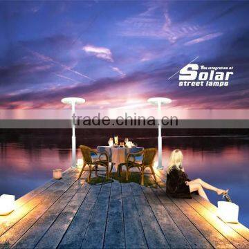 INTEFLY Manufactory Integrated Solar LED Landscape Light 25W photo-5