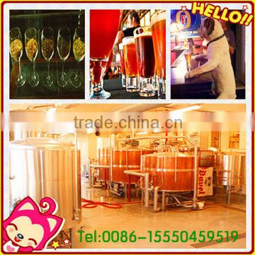 12HL Craft beer equipment/Home brewery/beer brewing equipment