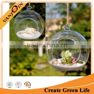 Home Decor Hanging Round Glass Clear Flower Vase Hydroponic Planting Pot