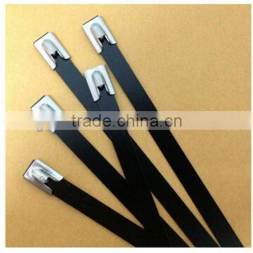 Full Epoxy Coated Roller Ball Lock Stainless Steel Cable Ties with polyester