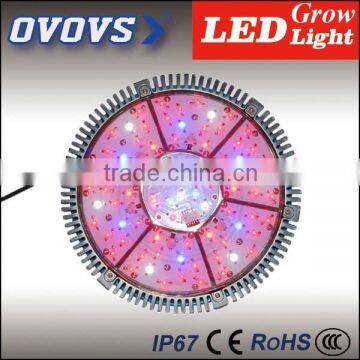 OVOVS 150degree lighting angle high power 140w grow led light for plant