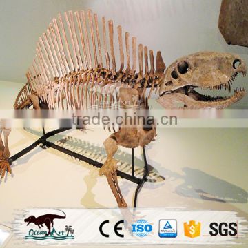 OA4019 Museum Quality realistic dinosaur replica model