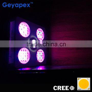 CXA 3070 COB LED Grow Light 800w