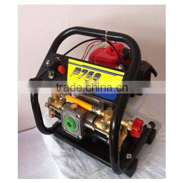 Knapsack Gaoline Power Sprayer 2/4-Stroke P768