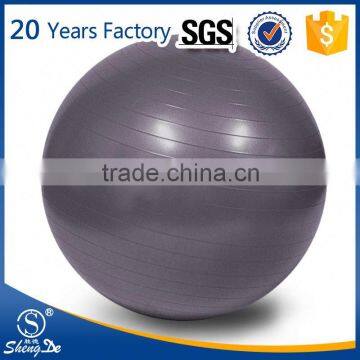 2016 Manufacture oval gym ball,ball gym,100cm exercise balls