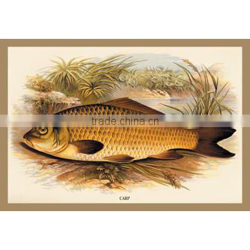 Carp 12x18 Giclee on canvas