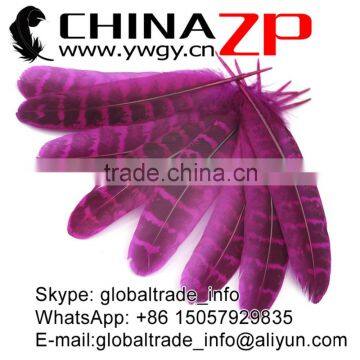 CHINAZP Feather Good Quality Cheap Colored Fuchsia Ringneck Pheasant Tip Feather photo-3